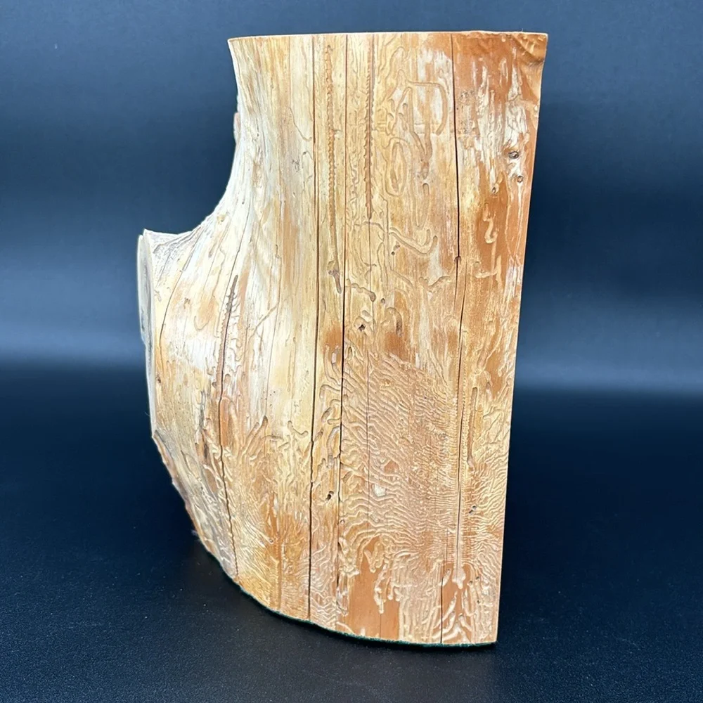 Montana Post Holes Jewelry Box